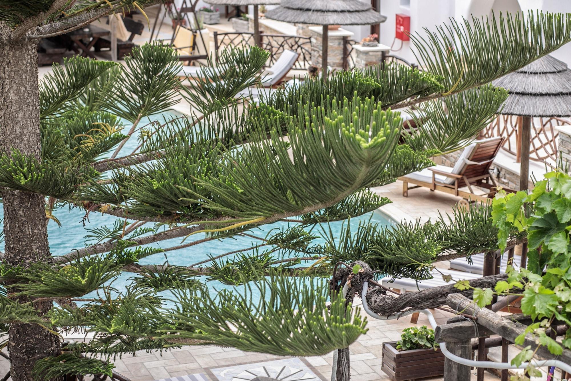 Anemomilos Beach Hotel Agia Anna  Exterior photo